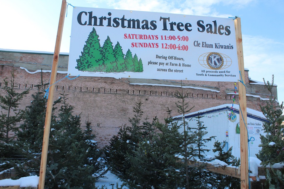 KiwanisClubtreesale1