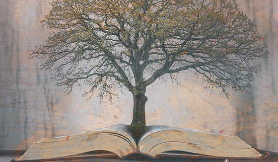 update-8-6-19-family-tree